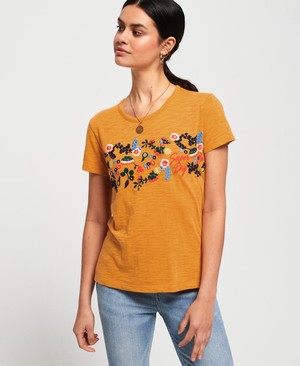 Superdry Lexi Embroidered Női Pólók Narancssárga | YFKGT4893